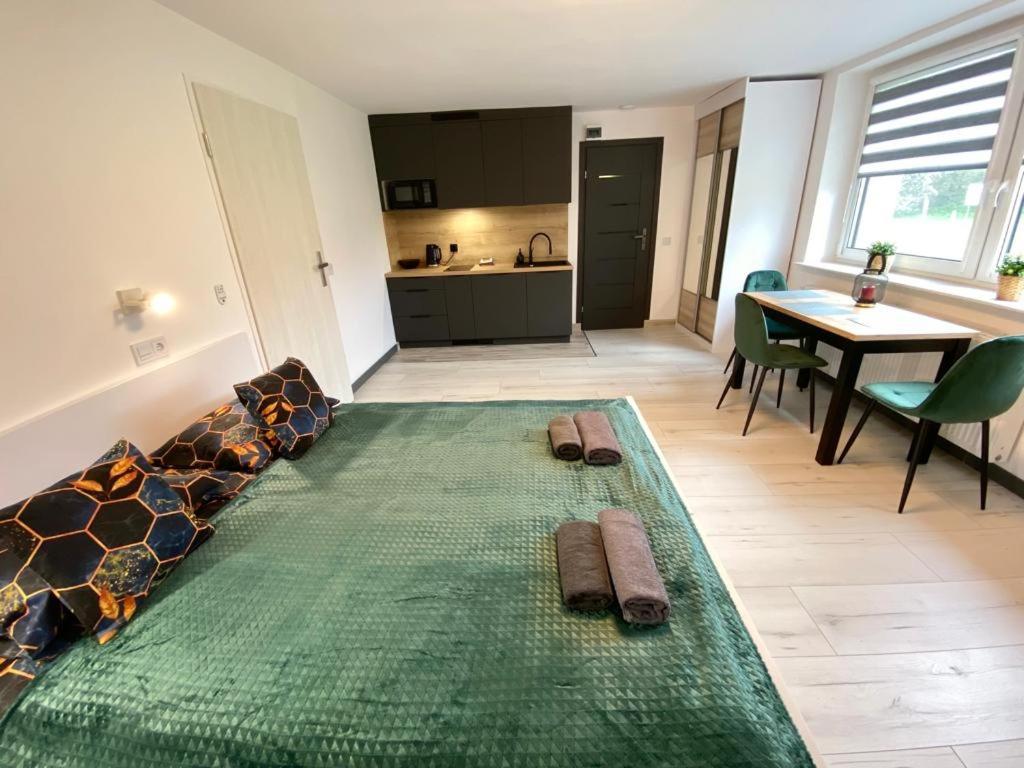 Skalny Apartamenty, Pokoje 오그로지에니에츠 외부 사진